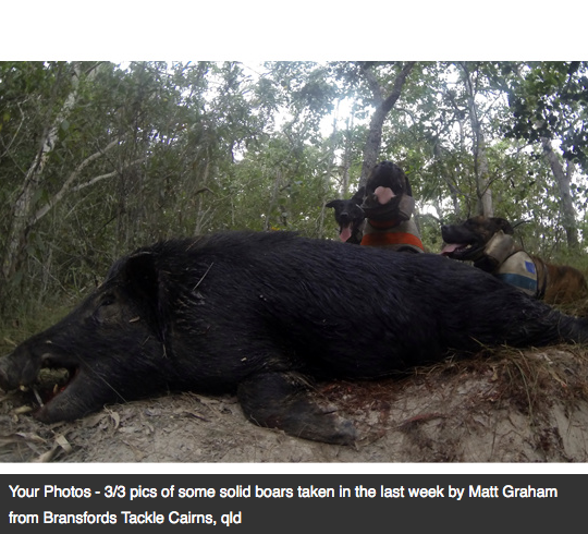 Screen Shot 2013-10-02 at 1.34.32 PM